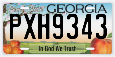 GA license plate PXH9343