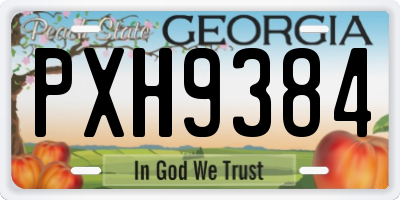 GA license plate PXH9384