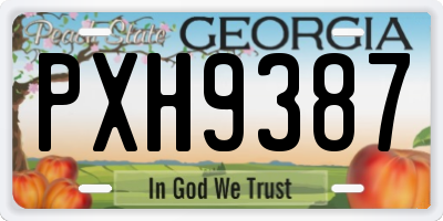 GA license plate PXH9387