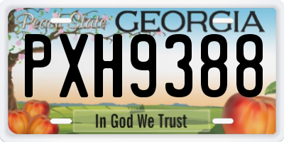 GA license plate PXH9388