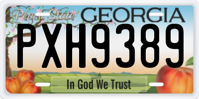 GA license plate PXH9389