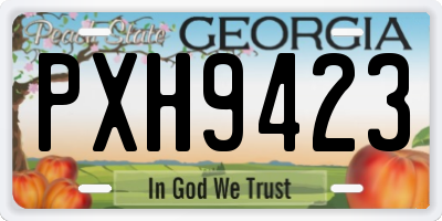GA license plate PXH9423