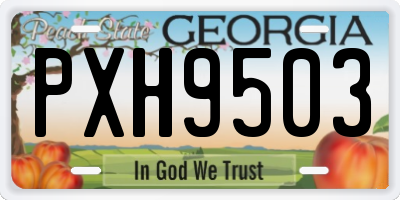 GA license plate PXH9503