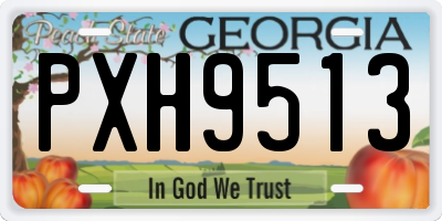 GA license plate PXH9513
