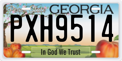 GA license plate PXH9514
