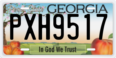 GA license plate PXH9517