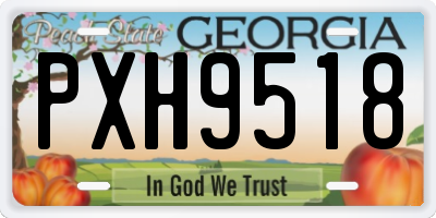 GA license plate PXH9518