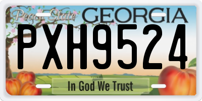 GA license plate PXH9524