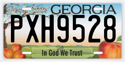 GA license plate PXH9528
