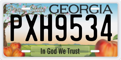 GA license plate PXH9534