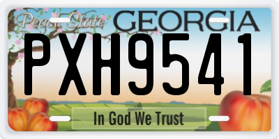 GA license plate PXH9541