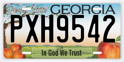 GA license plate PXH9542