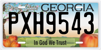 GA license plate PXH9543