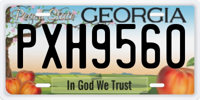 GA license plate PXH9560