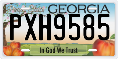GA license plate PXH9585