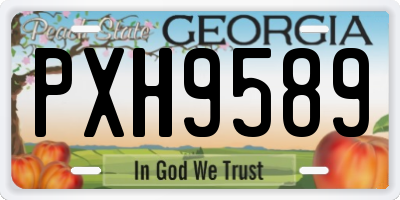 GA license plate PXH9589