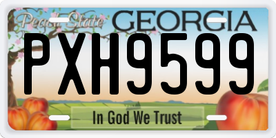GA license plate PXH9599