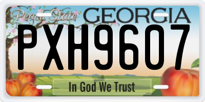 GA license plate PXH9607