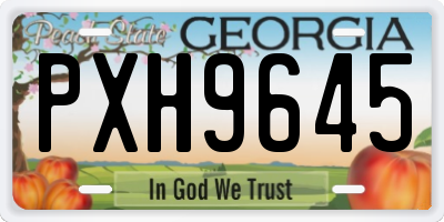 GA license plate PXH9645