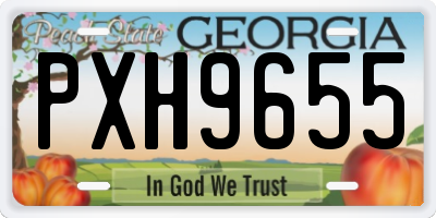 GA license plate PXH9655