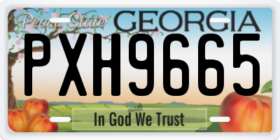 GA license plate PXH9665