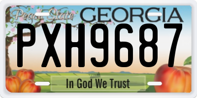 GA license plate PXH9687