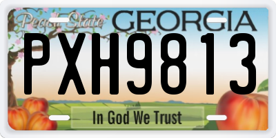 GA license plate PXH9813