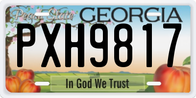 GA license plate PXH9817