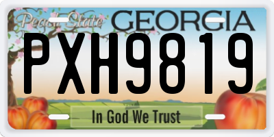 GA license plate PXH9819