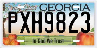 GA license plate PXH9823