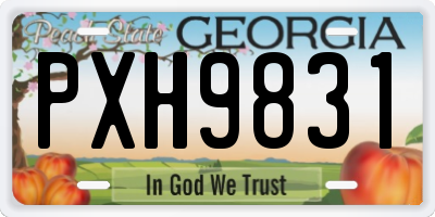 GA license plate PXH9831