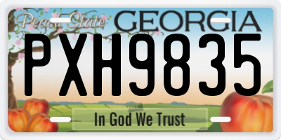 GA license plate PXH9835