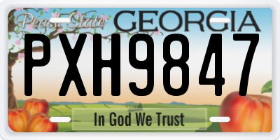 GA license plate PXH9847