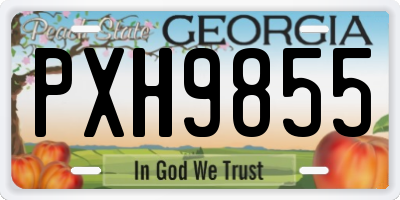 GA license plate PXH9855