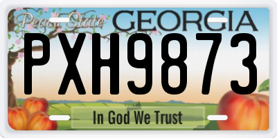 GA license plate PXH9873