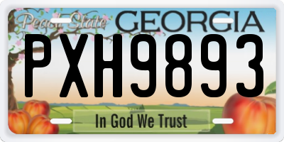 GA license plate PXH9893