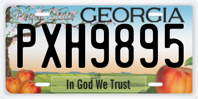GA license plate PXH9895