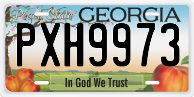 GA license plate PXH9973