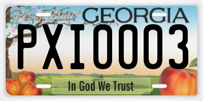 GA license plate PXI0003