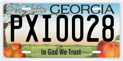GA license plate PXI0028