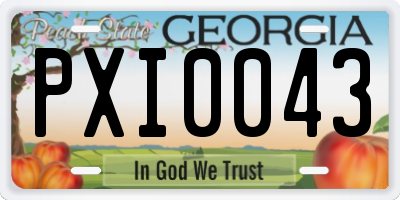 GA license plate PXI0043