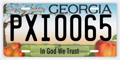 GA license plate PXI0065