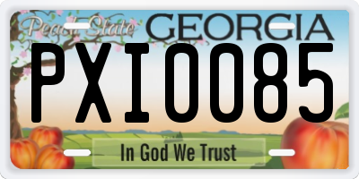 GA license plate PXI0085