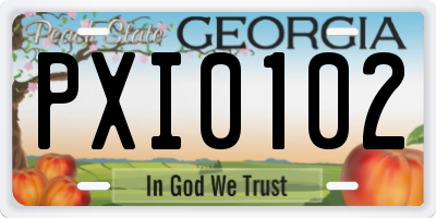 GA license plate PXI0102
