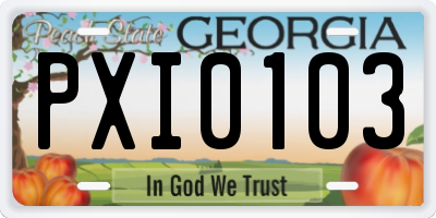 GA license plate PXI0103