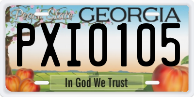 GA license plate PXI0105
