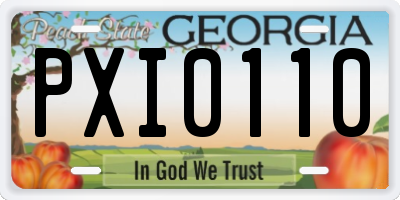 GA license plate PXI0110