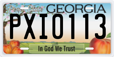 GA license plate PXI0113