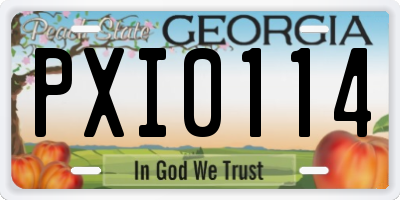 GA license plate PXI0114