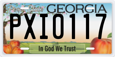 GA license plate PXI0117